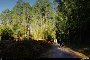 Trasee cu bicicleta MTB XC - Traseu MTB El Camino de Santiago del Norte - 12: Sobrado Dos Monxes - Arzua - Santiago de Compostela de Andrei Vocurek