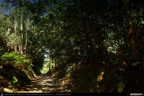 Trasee cu bicicleta MTB XC - Traseu MTB El Camino de Santiago del Norte - 12: Sobrado Dos Monxes - Arzua - Santiago de Compostela de Andrei Vocurek