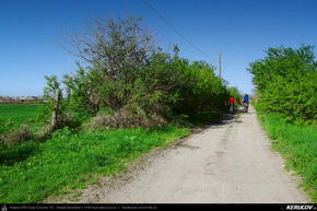 Trasee cu bicicleta MTB XC - Traseu MTB Ploiesti - Targsoru Vechi - Sirna - Bucuresti de Andrei Vocurek