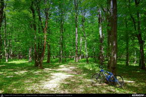 Trasee cu bicicleta MTB XC - Traseu MTB Ploiesti - Targsoru Vechi - Sirna - Bucuresti de Andrei Vocurek