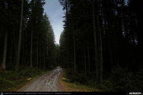 Trasee cu bicicleta MTB XC - Traseu MTB Predeal - Susai - Azuga - Valea Cerbului - Busteni de Andrei Vocurek