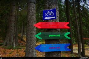 Trasee cu bicicleta MTB XC - Traseu MTB Predeal - Susai - Azuga - Valea Cerbului - Busteni de Andrei Vocurek