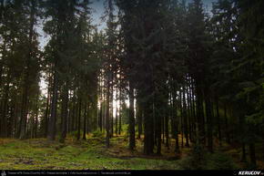 Trasee cu bicicleta MTB XC - Traseu MTB Predeal - Susai - Azuga - Valea Cerbului - Busteni de Andrei Vocurek