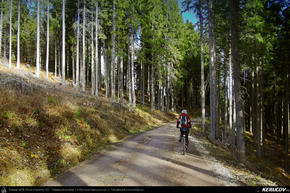 Trasee cu bicicleta MTB XC - Traseu MTB Predeal - Susai - Azuga - Valea Cerbului - Busteni de Andrei Vocurek