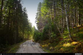 Trasee cu bicicleta MTB XC - Traseu MTB Predeal - Susai - Azuga - Valea Cerbului - Busteni de Andrei Vocurek