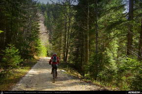 Trasee cu bicicleta MTB XC - Traseu MTB Predeal - Susai - Azuga - Valea Cerbului - Busteni de Andrei Vocurek