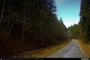 Trasee cu bicicleta MTB XC - Traseu MTB Predeal - Susai - Azuga - Valea Cerbului - Busteni de Andrei Vocurek