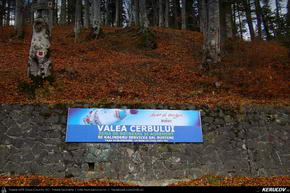 Trasee cu bicicleta MTB XC - Traseu MTB Predeal - Susai - Azuga - Valea Cerbului - Busteni de Andrei Vocurek