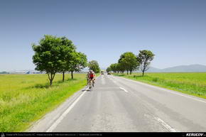Trasee cu bicicleta MTB XC - Traseu MTB Predeal - Prejmer - Harman - Sanpetru - Brasov de Andrei Vocurek