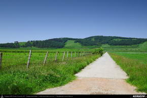 Trasee cu bicicleta MTB XC - Traseu MTB Predeal - Prejmer - Harman - Sanpetru - Brasov de Andrei Vocurek