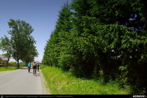 Trasee cu bicicleta MTB XC - Traseu MTB Predeal - Prejmer - Harman - Sanpetru - Brasov de Andrei Vocurek