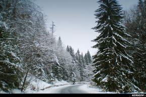 KERUCOV .ro - Fotografie si Jurnale de Calatorie - Traseu MTB Predeal - Cabana Trei Brazi - Cabana Poiana Secuilor - (spre) Cabana Susai de Andrei Vocurek