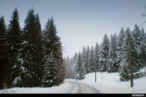 KERUCOV .ro - Fotografie si Jurnale de Calatorie - Traseu MTB Predeal - Cabana Trei Brazi - Cabana Poiana Secuilor - (spre) Cabana Susai de Andrei Vocurek
