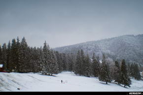 KERUCOV .ro - Fotografie si Jurnale de Calatorie - Traseu MTB Predeal - Cabana Trei Brazi - Cabana Poiana Secuilor - (spre) Cabana Susai de Andrei Vocurek