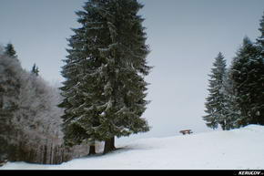 KERUCOV .ro - Fotografie si Jurnale de Calatorie - Traseu MTB Predeal - Cabana Trei Brazi - Cabana Poiana Secuilor - (spre) Cabana Susai de Andrei Vocurek