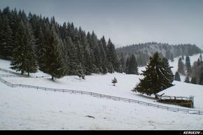KERUCOV .ro - Fotografie si Jurnale de Calatorie - Traseu MTB Predeal - Cabana Trei Brazi - Cabana Poiana Secuilor - (spre) Cabana Susai de Andrei Vocurek
