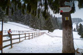 KERUCOV .ro - Fotografie si Jurnale de Calatorie - Traseu MTB Predeal - Cabana Trei Brazi - Cabana Poiana Secuilor - (spre) Cabana Susai de Andrei Vocurek