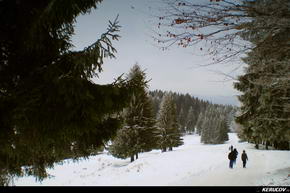 KERUCOV .ro - Fotografie si Jurnale de Calatorie - Traseu MTB Predeal - Cabana Trei Brazi - Cabana Poiana Secuilor - (spre) Cabana Susai de Andrei Vocurek