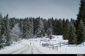 KERUCOV .ro - Fotografie si Jurnale de Calatorie - Traseu MTB Predeal - Cabana Trei Brazi - Cabana Poiana Secuilor - (spre) Cabana Susai de Andrei Vocurek