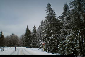 KERUCOV .ro - Fotografie si Jurnale de Calatorie - Traseu MTB Predeal - Cabana Trei Brazi - Cabana Poiana Secuilor - (spre) Cabana Susai de Andrei Vocurek