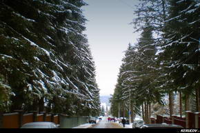 KERUCOV .ro - Fotografie si Jurnale de Calatorie - Traseu MTB Predeal - Cabana Trei Brazi - Cabana Poiana Secuilor - (spre) Cabana Susai de Andrei Vocurek