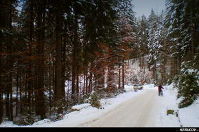 KERUCOV .ro - Fotografie si Jurnale de Calatorie - Traseu MTB Predeal - Cabana Trei Brazi - Cabana Poiana Secuilor - (spre) Cabana Susai de Andrei Vocurek
