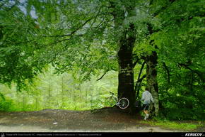 Trasee cu bicicleta MTB XC - Traseu MTB Sinaia - Moroeni - Pucioasa - Targoviste de Andrei Vocurek