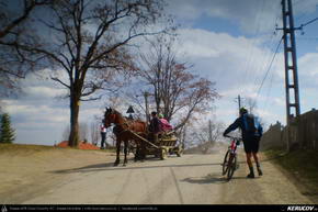 Trasee cu bicicleta MTB XC - Traseu MTB Sinaia - Posada - Campina - Doftana - Floresti de Andrei Vocurek