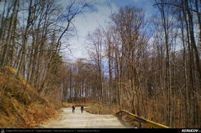 Trasee cu bicicleta MTB XC - Traseu MTB Sinaia - Posada - Campina - Doftana - Floresti de Andrei Vocurek