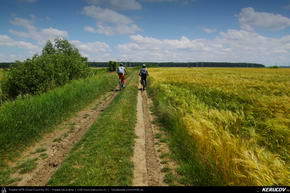 Traseu cu bicicleta MTB XC Bucuresti - Padurea Baneasa - Otopeni - Moara Vlasiei - Tunari - KERUCOV .ro © 2007 - 2025 || #traseecubicicleta #mtb #ssp