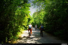 Trasee cu bicicleta MTB XC - Traseu MTB Bucuresti - Padurea Baneasa - Otopeni - Moara Vlasiei - Tunari de Andrei Vocurek