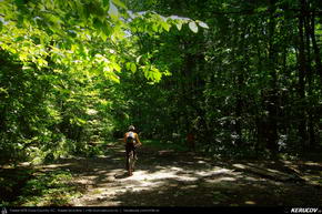 Trasee cu bicicleta MTB XC - Traseu MTB Bucuresti - Padurea Baneasa - Otopeni - Moara Vlasiei - Tunari de Andrei Vocurek