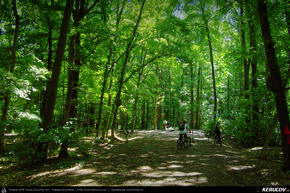 Trasee cu bicicleta MTB XC - Traseu MTB Bucuresti - Padurea Baneasa - Otopeni - Moara Vlasiei - Tunari de Andrei Vocurek