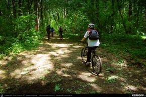 Trasee cu bicicleta MTB XC - Traseu MTB Bucuresti - Padurea Baneasa - Otopeni - Moara Vlasiei - Tunari de Andrei Vocurek