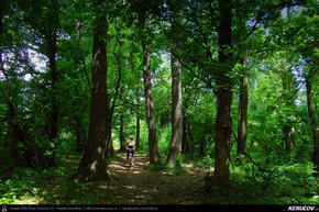 Trasee cu bicicleta MTB XC - Traseu MTB Bucuresti - Padurea Baneasa - Otopeni - Moara Vlasiei - Tunari de Andrei Vocurek