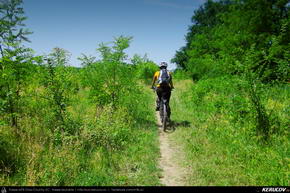 Trasee cu bicicleta MTB XC - Traseu MTB Bucuresti - Padurea Baneasa - Otopeni - Moara Vlasiei - Tunari de Andrei Vocurek