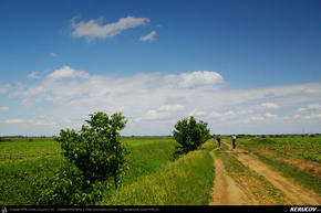 Trasee cu bicicleta MTB XC - Traseu MTB Bucuresti - Padurea Baneasa - Otopeni - Moara Vlasiei - Tunari de Andrei Vocurek