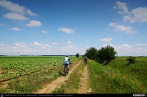 Trasee cu bicicleta MTB XC - Traseu MTB Bucuresti - Padurea Baneasa - Otopeni - Moara Vlasiei - Tunari de Andrei Vocurek