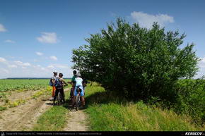 Trasee cu bicicleta MTB XC - Traseu MTB Bucuresti - Padurea Baneasa - Otopeni - Moara Vlasiei - Tunari de Andrei Vocurek
