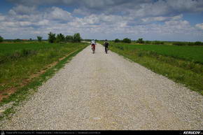 Trasee cu bicicleta MTB XC - Traseu MTB Bucuresti - Padurea Baneasa - Otopeni - Moara Vlasiei - Tunari de Andrei Vocurek