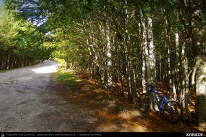 Trasee cu bicicleta MTB XC - Traseu MTB Brasov - Sacele - Lacul Tarlung - Pasul Bratocea - Cheia de Andrei Vocurek