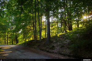 Trasee cu bicicleta MTB XC - Traseu MTB Brasov - Sacele - Lacul Tarlung - Pasul Bratocea - Cheia de Andrei Vocurek