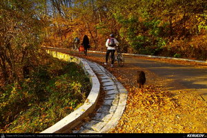 Trasee cu bicicleta MTB XC - Traseu MTB Breaza - Adunati - Costisata - Bezdead - Pucioasa - Targoviste de Andrei Vocurek