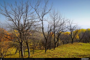 Trasee cu bicicleta MTB XC - Traseu MTB Breaza - Adunati - Costisata - Bezdead - Pucioasa - Targoviste de Andrei Vocurek