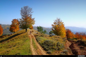 Traseu cu bicicleta MTB XC Breaza - Talea - Adunati - Provita de Jos - Poiana Campina - KERUCOV .ro © 2007 - 2025 || #traseecubicicleta #mtb #ssp