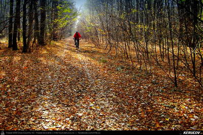 Traseu cu bicicleta MTB XC Bucuresti - Boldu-Cretuleasca - Runcu - Dascalu - Andronache - KERUCOV .ro © 2007 - 2025 || #traseecubicicleta #mtb #ssp