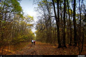 Trasee cu bicicleta MTB XC - Traseu MTB Bucuresti - Boldu-Cretuleasca - Runcu - Dascalu - Andronache de Andrei Vocurek
