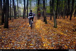 Trasee cu bicicleta MTB XC - Traseu MTB Bucuresti - Boldu-Cretuleasca - Runcu - Dascalu - Andronache de Andrei Vocurek