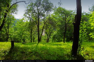Trasee cu bicicleta MTB XC - Traseu MTB Campina - Melicesti - Telega - Mislea - Baicoi - Floresti de Andrei Vocurek