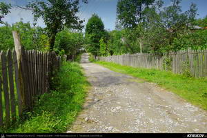 Trasee cu bicicleta MTB XC - Traseu MTB Campina - Melicesti - Telega - Mislea - Baicoi - Floresti de Andrei Vocurek